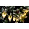 Celebrations Celebrations LED Micro/5mm Warm White 10 ct String Christmas Lights 17.72 ft. 774355 - alternate 2